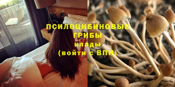 Альфа ПВП Алзамай