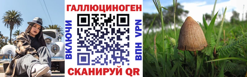 где продают наркотики  Сатка  Псилоцибиновые грибы GOLDEN TEACHER 