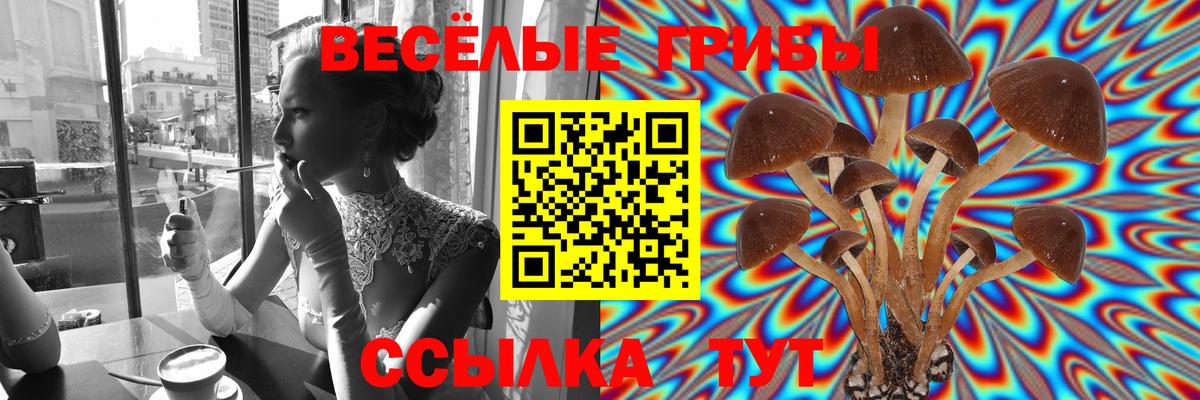 Галлюциногенные грибы Cubensis Сатка