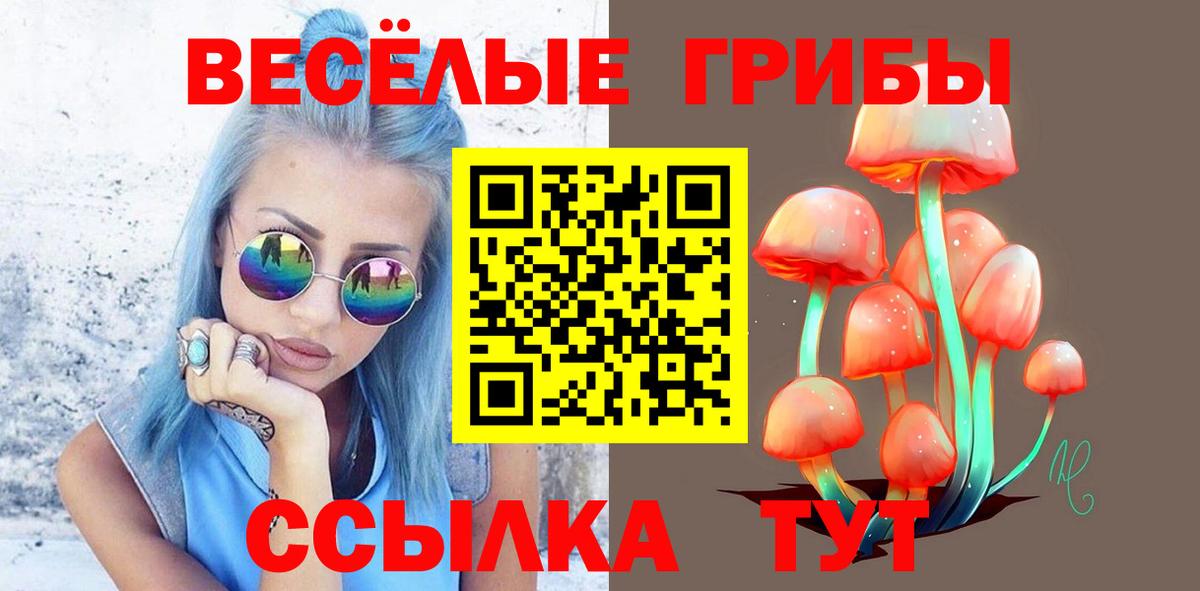 Сатка  купить наркотики сайты  Псилоцибиновые грибы мицелий  Вход с VPN  Псилоцибиновые грибы ЛСД 